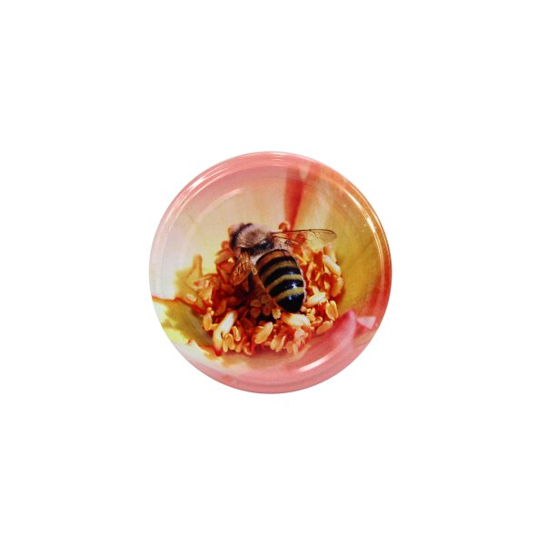 Twist Off Deckel TO82 Biene mit Bienenstock 500g Honigglas