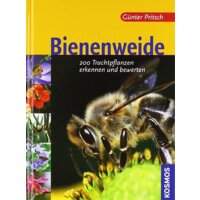 Bee pasture by Günter Pritsch